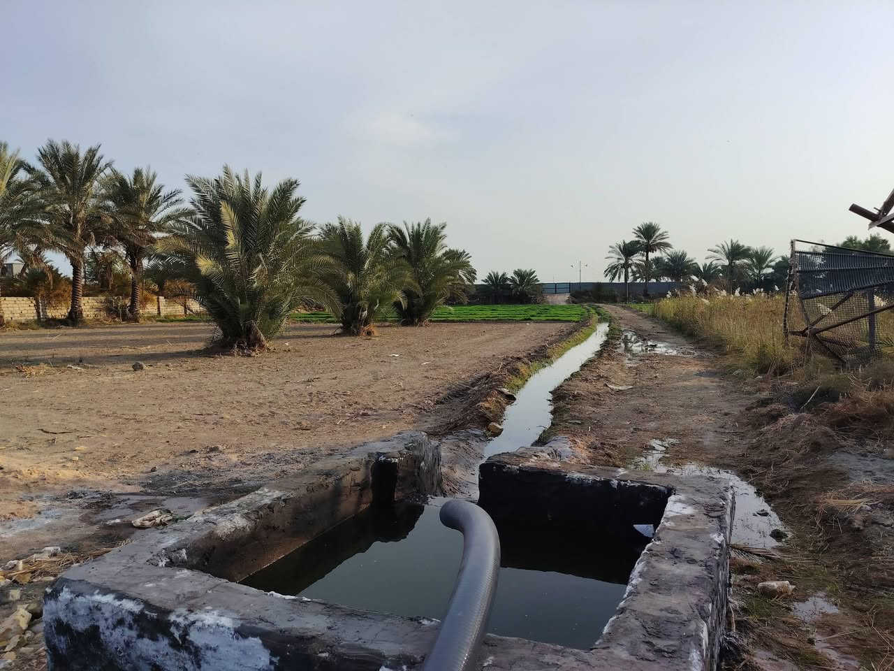 ارض شاطي 2 دونم للبيع على طريق يا حسين في الكفل الشهابية السعر خاص ***********
