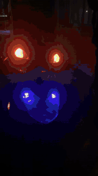 السلام عليكم✨🖤.                                                          سكنس فحل للبيع دراجه تخبل.                                                                                مصارلهه هواي من نازله من الحاويه.                                          كلجات رياضي شلعه معدل تاكل الكاعع.                                تفاصيل ) *********** 🌹🤎
