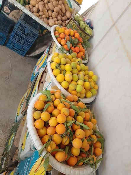 مرتضى الفرطوسي للفواكه والخضروات 
يوجد لدينا خدمه توصيل داخل التاجيات والعز 
للتواصل فيس أو واتساب 
رقم الهاتف ***********
العنوان التاجيات شارع20قرب مرور التاجيات
موجودين طيله ايام الاسبوع ماعدا يوم الجمعه
