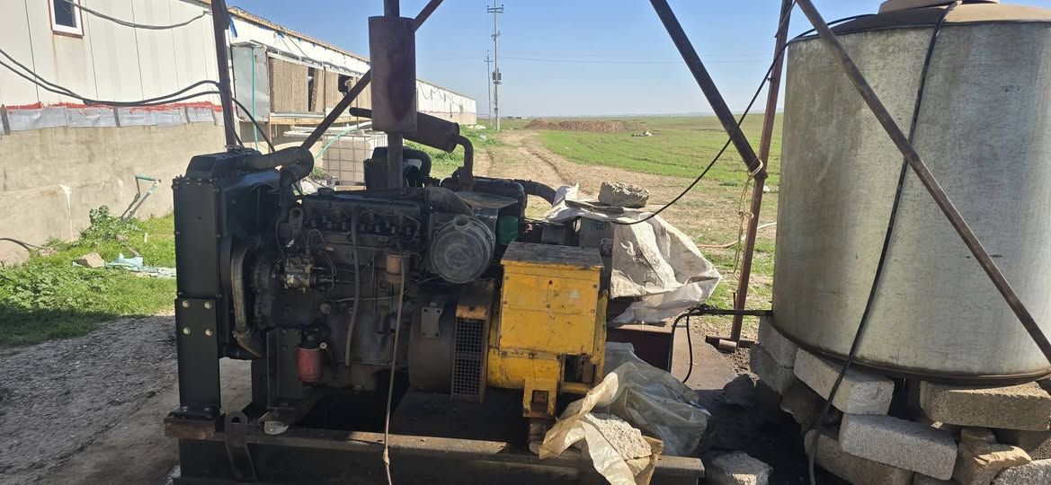 حقل دواجن اللبيع ***********
