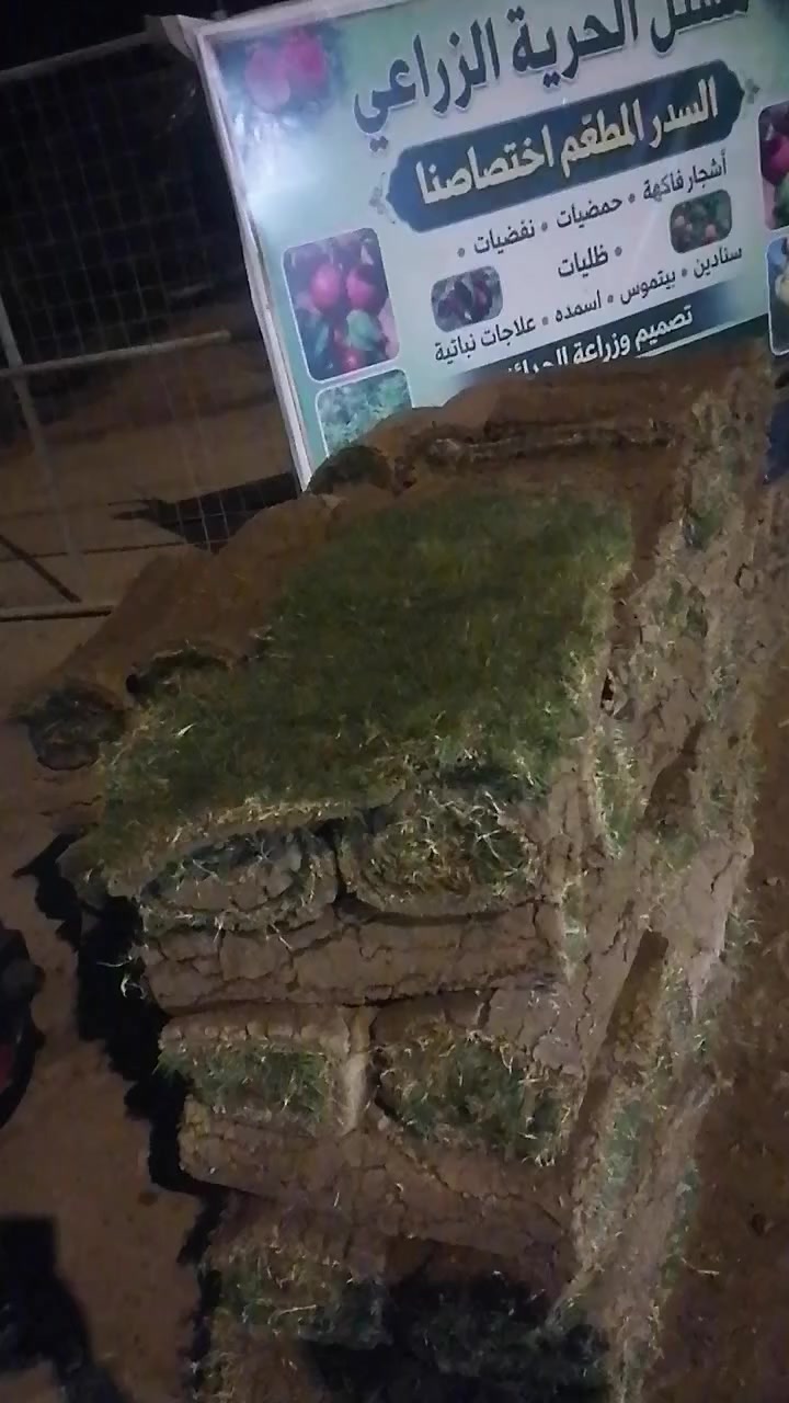 النجف الاشرف ناحية الحريه ***********
قطعه قياس 100في60 سانتم ب الف ونص فقط
وإذ كميات بيه مجال قليل
