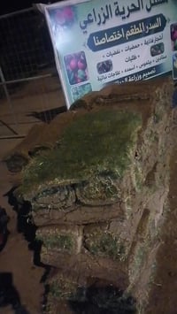 النجف الاشرف ناحية الحريه • ١٠٠×٦٠سم • كمية قليلة