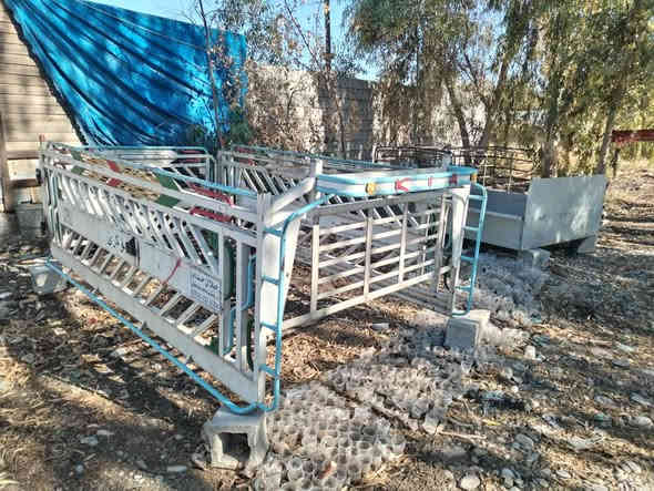 چە مچە وناوبۆدی وکە پری چم چە ژمارە*********** أربيل
