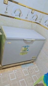 مجمدة فورسي • نضيفه • النجف