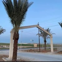 اررض للبيع مجمع النخيل  المساحة 100 متر مربع  سند زراعي قرار 25 ومستلم...