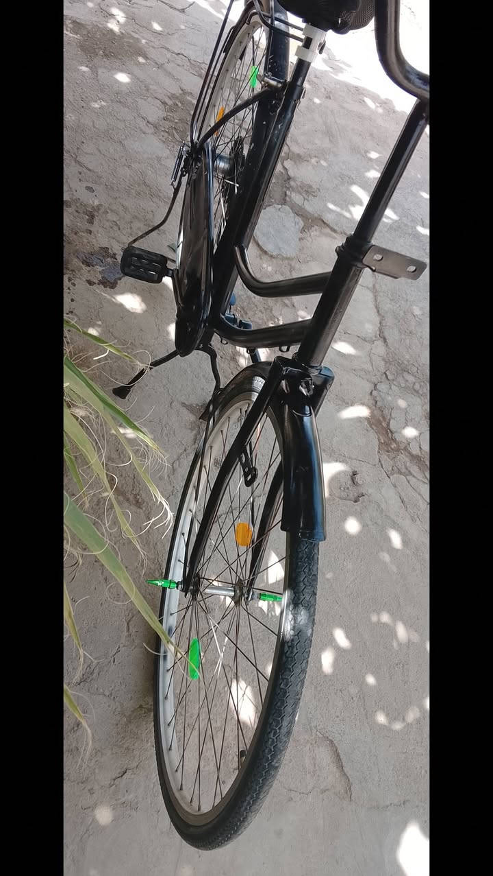 باسكل بناتي للبيع  حجم  26 قيم وخذ   بس مصبوغ


**إذا كنت صاحب هذا الإعلان وتريد حذفه لأي سبب، رجاءا أرسل رسالة إلى الدعم الفني**