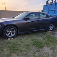 ويل اصلي • بلادي • نجمة 20