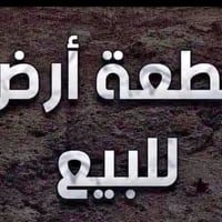 محيزم اربعه • ١٠٠م • طابو صرف