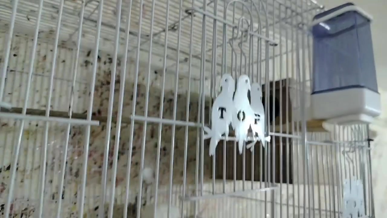سلام عليكم ورحمة الله وبركاته شباب موجوده هاي خانه بعدي مستخدم قليل وياهه بيت مال كناري للبيع سعره  ٢٥ بيهه مجال ليريده يراسلني خاص مكاني هيت


**إذا كنت صاحب هذا الإعلان وتريد حذفه لأي سبب، رجاءا أرسل رسالة إلى الدعم الفني**