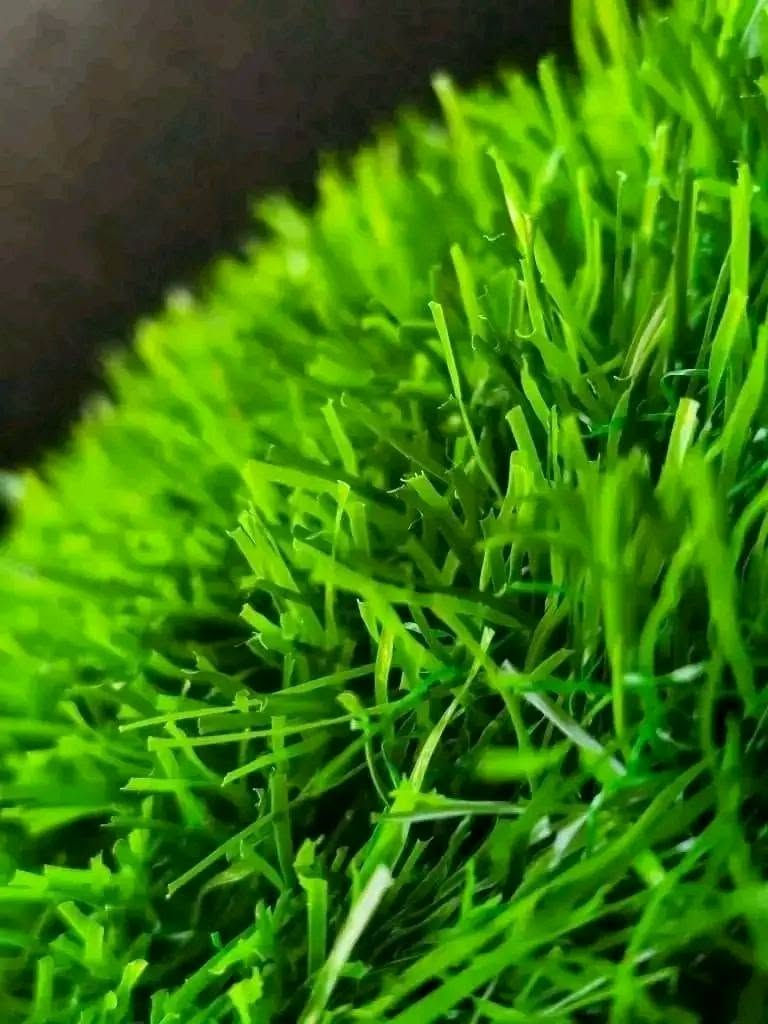 سارعوا الكمية محدودة واتساب ٠٩٢٣٣٧٥٦٤٥


**إذا كنت صاحب هذا الإعلان وتريد حذفه لأي سبب، رجاءا أرسل رسالة إلى الدعم الفني**