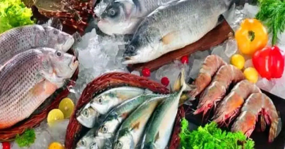 🐟 أجود أنواع الأسماك والمأكولات البحرية الطازجة يوميًا! 🦐
طعم البحر الحقيقي بين إيدك 😋
 سمك طازج ومتنوع
جودة عالية وسعر يناسب الجميع

#مجمع اسماك جويلي 

للطلب والاستفسار يرجى التواصل معنا على الارقام التالية      ***********📞 *********** 📞***********📞

نوصل طلبكم لباب المنزل
📍عنوان مطعمنا ـ بغداد ـ السيدية ـ الضباط بعد جامع الأقصى 

🧊 الطزاجة سرّنا... والتميز عنوانّا! 🌿
