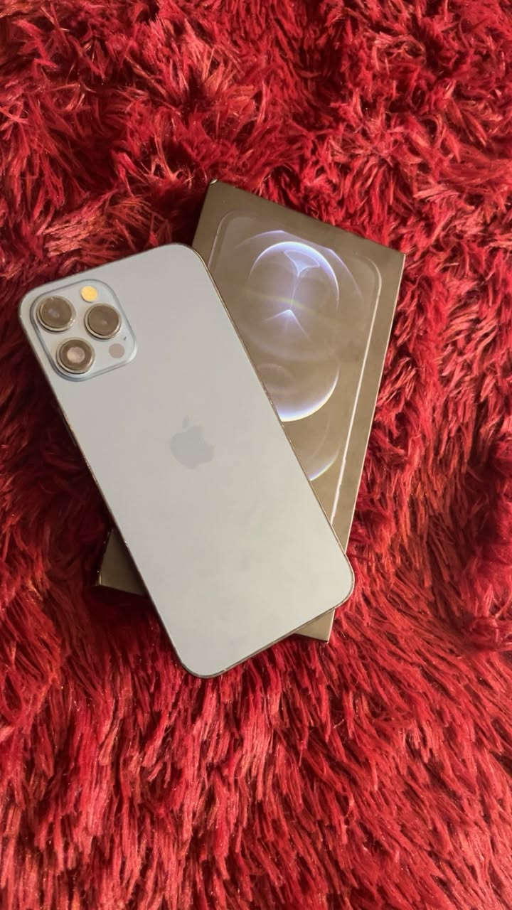 السلام عليكم وجبه جديده
ايفون 12برو ماكس بطاريه 80 ذاكره 128 جهاز جداً نضيف فقد امبدل بي لاصق كامره  بي ضمان يومين السعر 445
العنوان بغداد الزعفرانية 
يوجد توصيل 🚚 مجاني داخل بغداد 
***********
