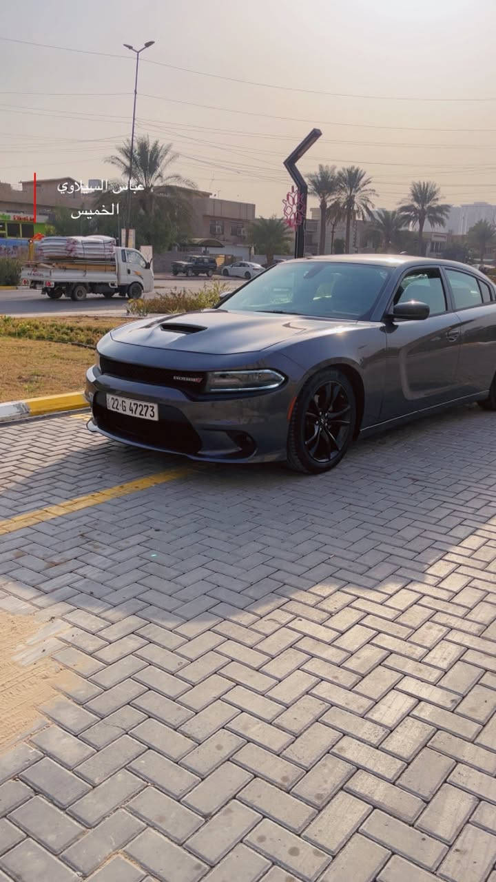 دوج جارجر٢٠١٨ RT
محرك 8سلندر 5700
سياره حيل حلوة ونظيفة 
ماتحتاج مصرف جاهزة من كلشي
نوع الحادث جاملغ امامي+ خلفي وهنا بابين نفس صفحه مطابق لون   يعني (صفحه بيه) 
ماشيه٦٦
السعر١٦٣ وبيه مجال 
مواصفات 
 شاشة للتحكم في ايعازات السيارة
تحكم ستيرن جهتين
طقم تاير جديد
تبريد قطعتين امامي خلفي
 سستم صوت متكامل
كشنات كهرباء السايق
 مانع انزلاق
 بصمة ابواب
تشغيل عن بعد
 منافذ USB امامي خلفي
حساس خلفي اصل
العنوان:بغداد حي الجهاد حي الحسين
رقم هاتف *********** وتساب + رصيد
