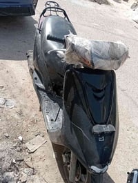 اكزز • ياباني • سلف