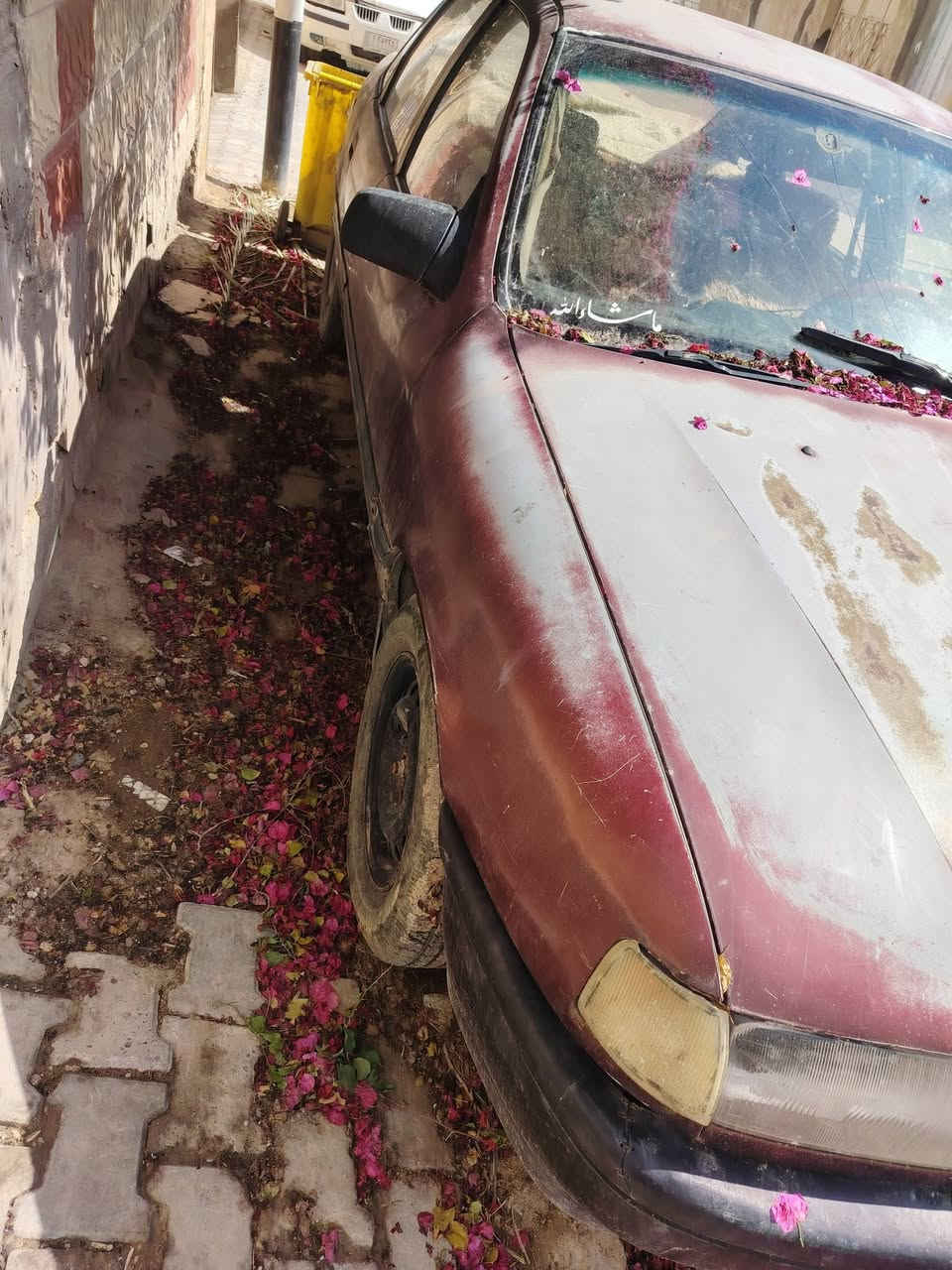 سلام عليكم اوبل 1991 شغاله بيه خيط بخار تمشي مابيه شي تريد مداور راعيه متوثي خابرت اخو جهاله بالغين مسوين قسام تمشي بالمعامله وداور رقم ألماني ترهم مراوس بكوري معه الفرق مكاني نجف حي العسكري اليريده يتصل *********** سعره 15 وبيه حك الجيه
