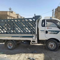 فحل للبيع موديل 19  ب150 للتفاصيل07882916218