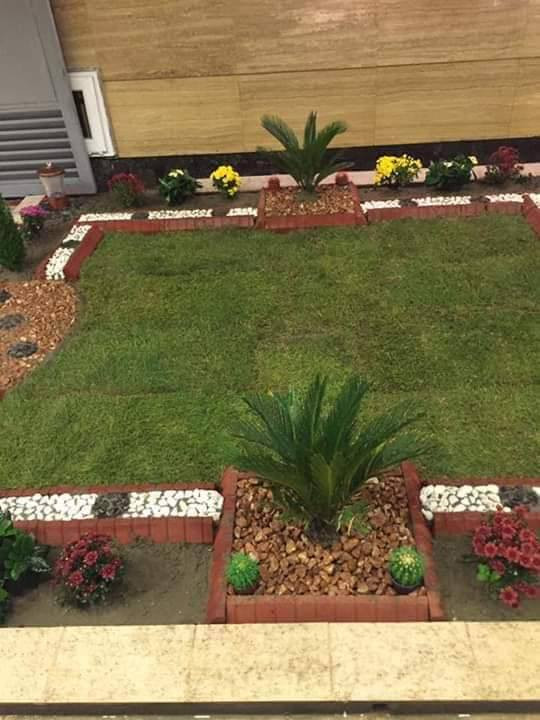 اجز بسيطة من عملي المهندس الزراعي ابو رضأ
شغل حدايق ديكور ات كرسته وعمل 

وشغل وادامة حدايق مع العلاج والمنشطات للتربة وللورد وللثيل
وكص الاشجار اليابسة والميته 
وعلاج الديدان والارضة 
واي حشرات داخل الحديقة 
كادر هندسي مختص 
شغلي فقط بغدادكرخ ورصافة
للستفسار اتصال او واتساب ***********
