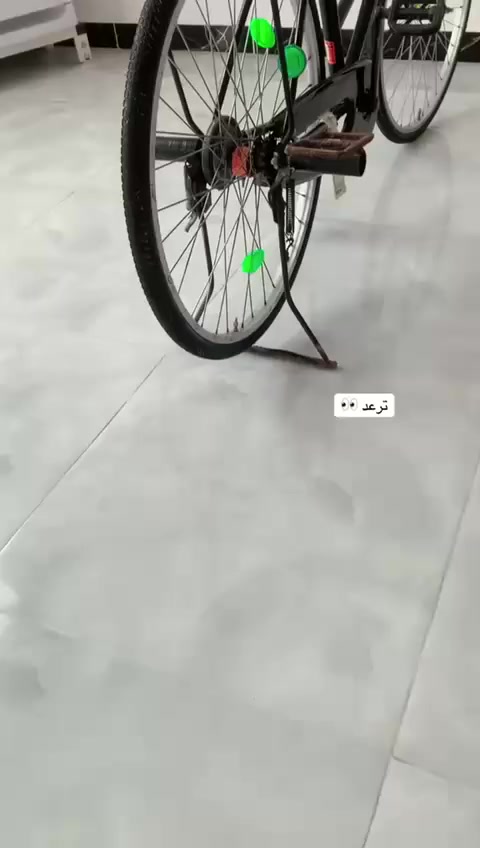 سلام عليكم شباب باسكل للبيع حجم 26نضافه كدامك عنوان بصرة كرمت علي سعر150


**إذا كنت صاحب هذا الإعلان وتريد حذفه لأي سبب، رجاءا أرسل رسالة إلى الدعم الفني**