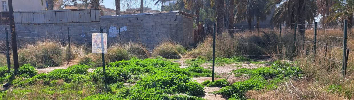 ٣٣٫٤٣٢٩١٨١، ٤٤٫٣٦٥٨٤٧٣
السلام عليكم قطعه ارض للبيع المساحه 100متر 
 10 × 10 مربعه* العنوان السريدات المربع الرابع   تبعد عن جزيره بغداد السياحيه(( 2 كيلو متر )) السعر  40 مليون بيهه مجال بسيط 
رقم الهاتف؛: ***********
