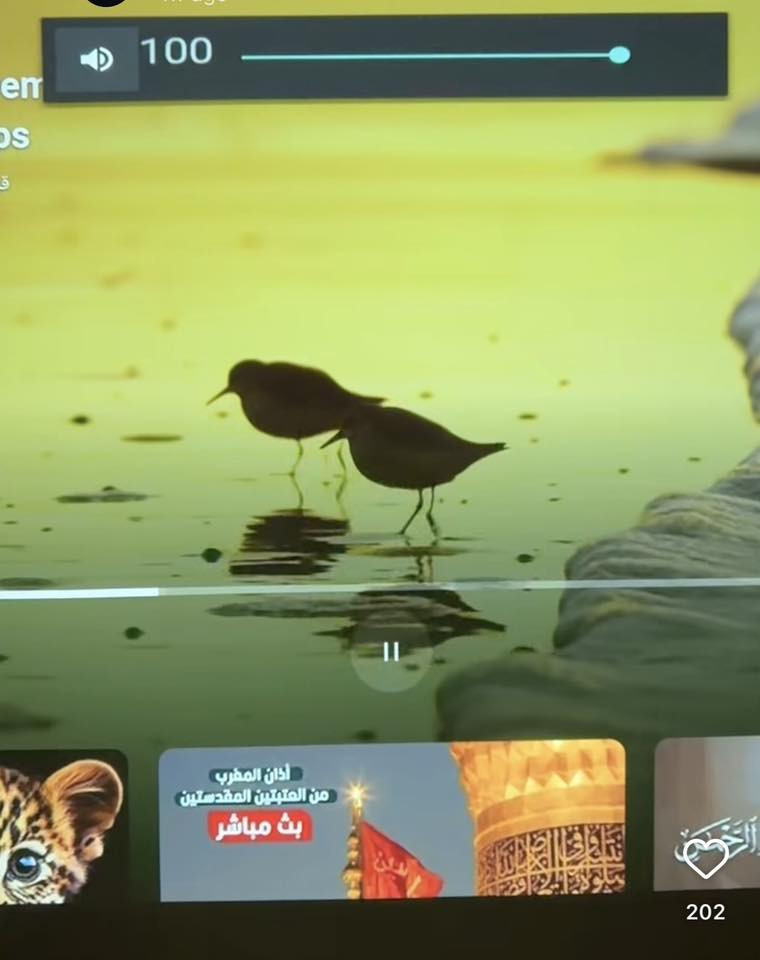 سلام عليكم داتاشو باله الماني سعره 80 الف رقم الهاتف ***********هذا مواصفات الداتاشو
Giant Data Ball Bearing, Made in Germany

FULL HD 1920-1080 Original Resolution

Supports 4K

High Brightness LED

50,000 Hour Lens Life

HDMI, USB, VGA, and AV Ports

Stereo Sound

Wi-Fi and Bluetooth

@الجميعSuitable for Movies, Games, and Teaching
