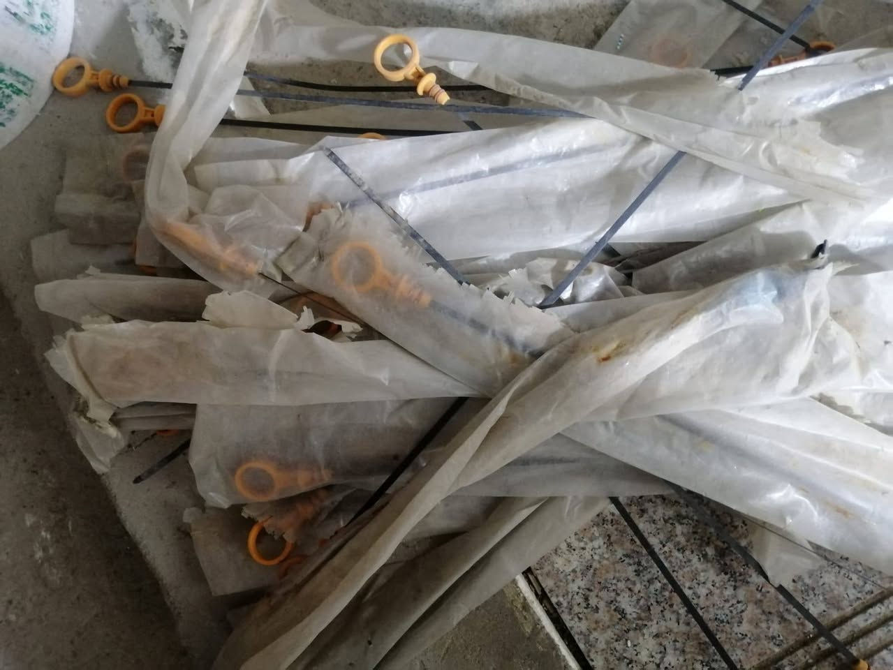 تخم نوزلات فورنزا ب 30
خطره دهن ب 10
يوجد توصيل لجميع المحافظات 
*********** حجز واتساب
