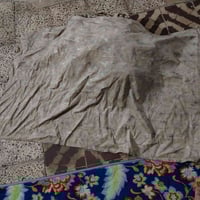 بردات • كوستر • رأس الثور