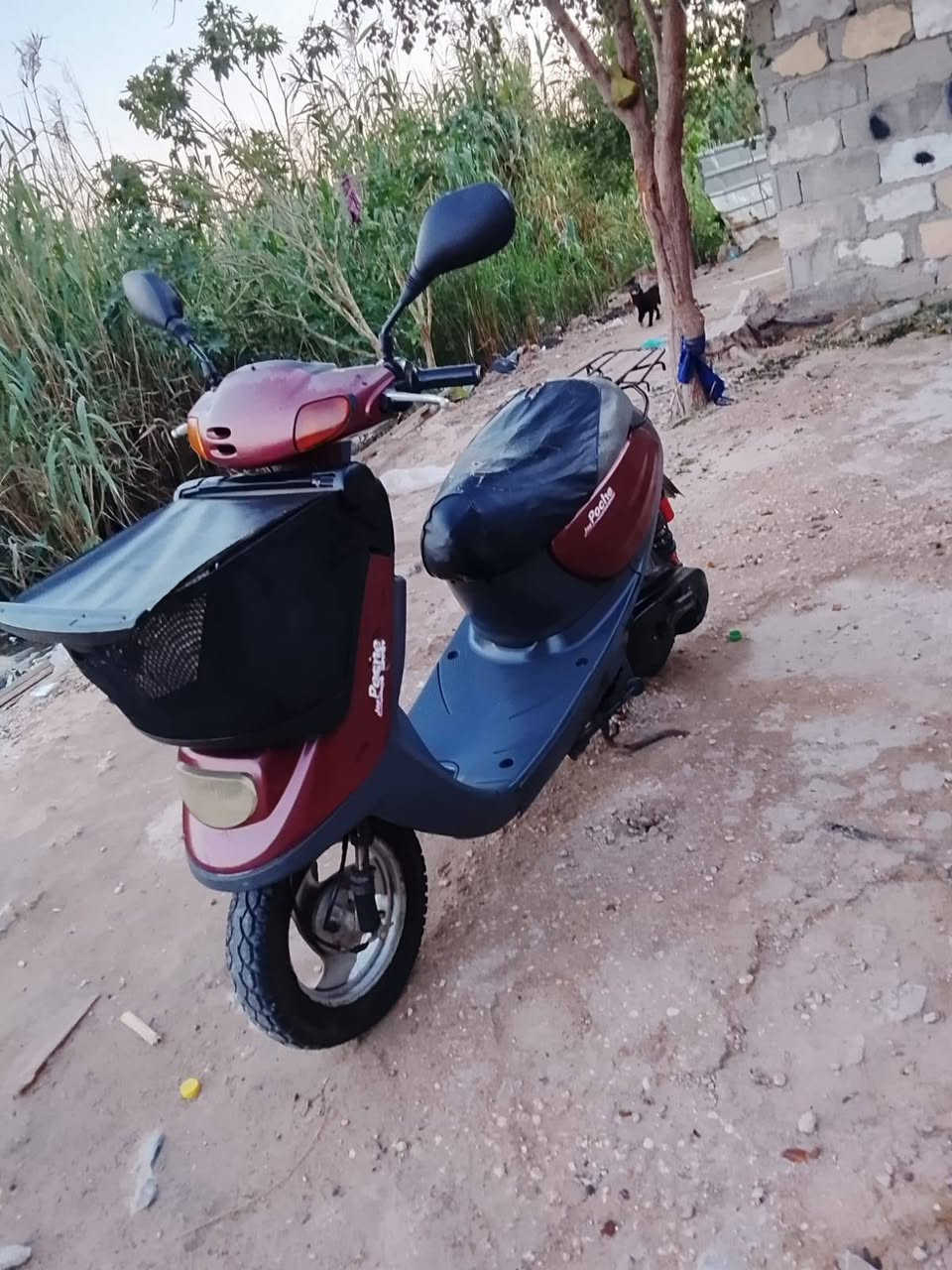 دراجه منغولي 2003 العنوان كربلاء حي الغدير قرب شارع الرساله مال ماي السعر 325لضو بيها مجال والشراي ينتصر على الرقم***********
