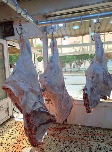 تعلن قصابة ابو تراب عن توصيل الطلبات مجاني لكافة مناطق الكوت
على بركة الله تعالى
بسم الله الرحمن الرحيم
قصابة ابو تراب الان
بعون الله تعالى وتبارك تم تجهيز قصابة ابو تراب بلحم عجل عراقي ولحم غنم عراقي ومن الله التوفيق
تموز مقابل جامع ابو تراب
قصابة ابو تراب
***********
***********
***********
توجد خدمة تةصيل
اهلآ وسهلآ بالزائرين الكرام
ولكم جزيل الشكر والتقدير
