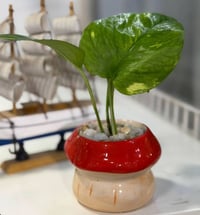 جو طبيعي • أسعار مناسبة • توصيل مجاني