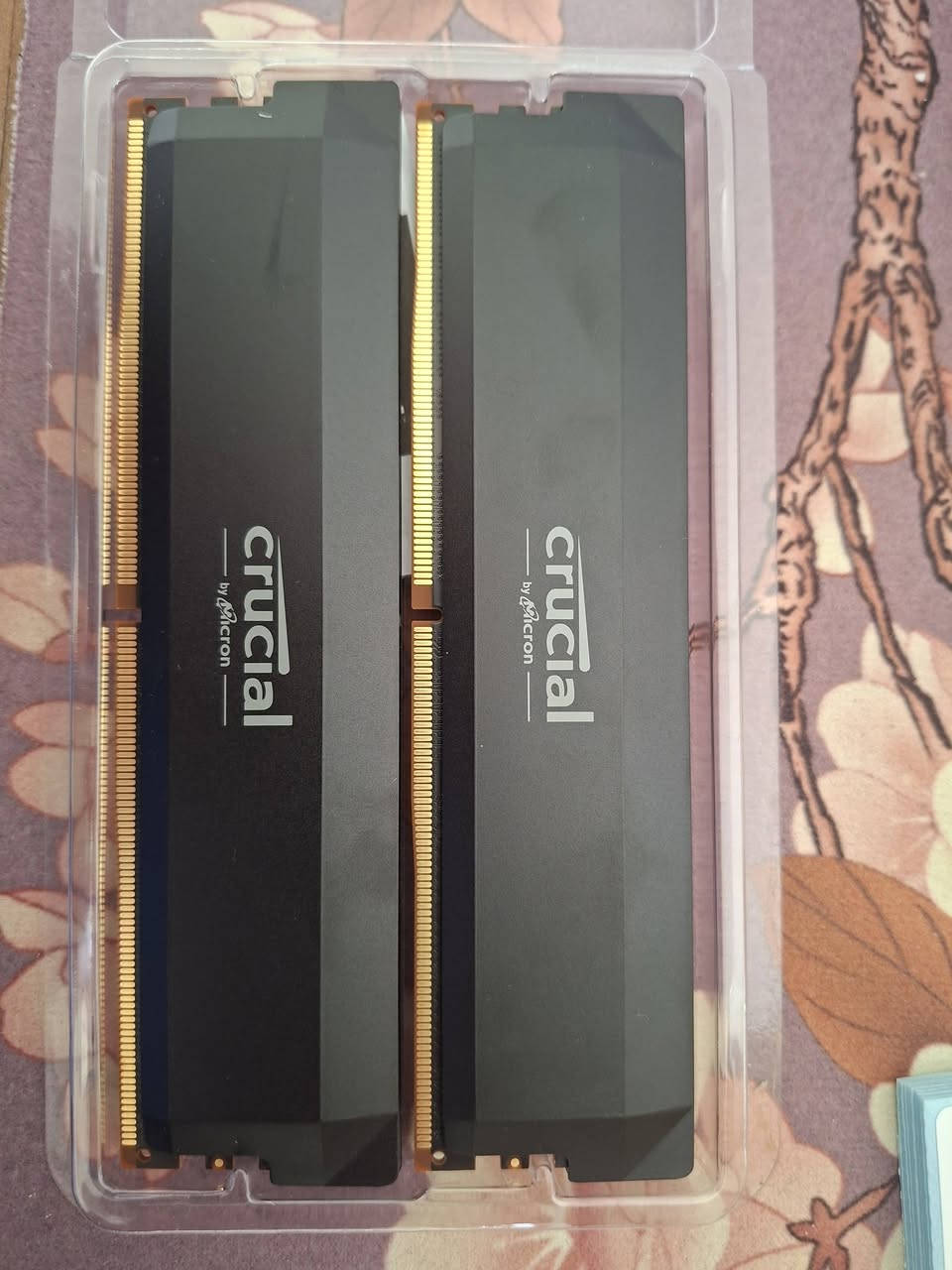 رامات DDR5
16*2 6000 CL36
السعر 450


**إذا كنت صاحب هذا الإعلان وتريد حذفه لأي سبب، رجاءا أرسل رسالة إلى الدعم الفني**