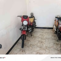 دايون عظم • موديل ١٨ • مكفوله