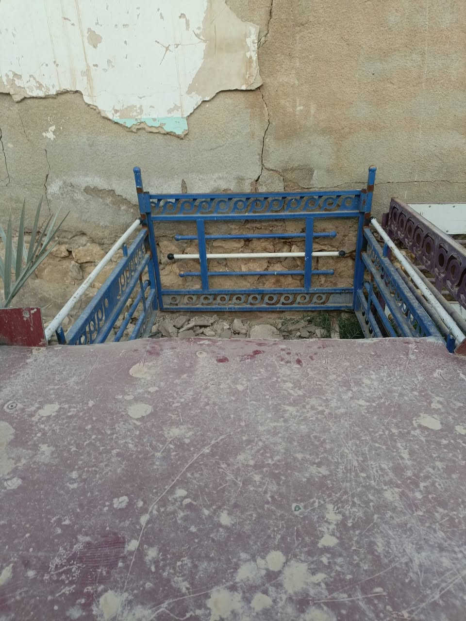 محجلات للبيع مكاني الانبار الرمادي 5كيلو وراء بيت اركان خلف طرموز
رقم الهاتف: *********** للاستفار
