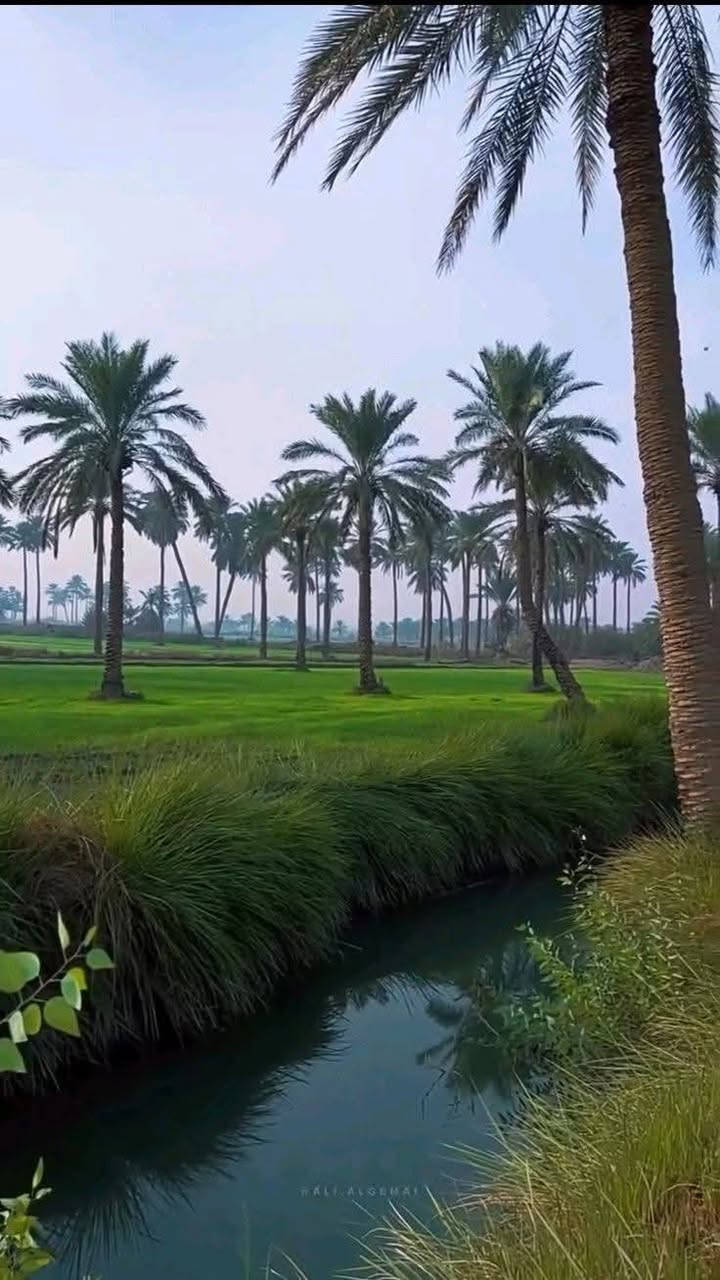 السعر 7مليون وكاملة الخدمات موقع مرتب
#تبعد_عن_خط_لتنمية_اقل_من_كيلو١
#وعن_ذراع_دجلة_نصف_كيلو
طابوسند٢٥تحويل وفتح بيان مباشر بسم المشتري    
 كهرباء مدرسه قريبه مي سقي صيف وشتاء
النصيحه دين والله يا اخوان
وشرط ما تدفع ولا فلس آلة بعد فتح بيان بطابو
تبعد عن المنصور ٢٠دقيقة عن بوابة الكاضمية١٠

تلفون ***********واتساب
