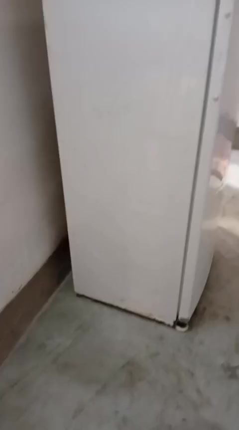 ثلاجه شقاله بل شرط للبيع 100 مكاني كركوك دوميز


**إذا كنت صاحب هذا الإعلان وتريد حذفه لأي سبب، رجاءا أرسل رسالة إلى الدعم الفني**