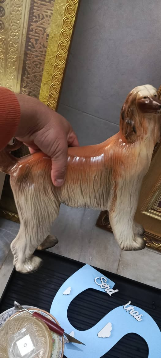 للبيع السعر ٦٠ ألف للكل يوجد توصيل


**إذا كنت صاحب هذا الإعلان وتريد حذفه لأي سبب، رجاءا أرسل رسالة إلى الدعم الفني**