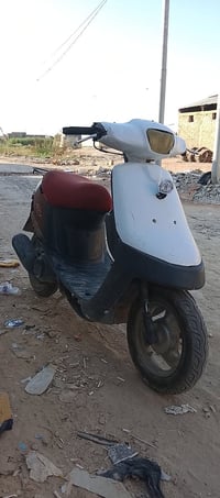 بطه • شغاله • سلف