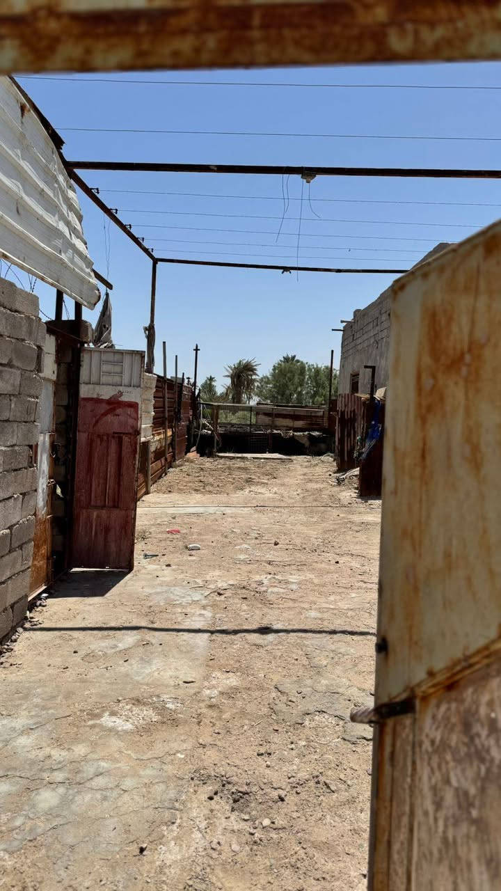 🏡 بيت للبيع في البصرة — منطقة المسحب حرير 🏡
📍 الموقع: البصرة — منطقة المسحب حرير
📐 المساحة: 250 متر طابو زراعي 
✨ تفاصيل البيت:
▪️ يحتوي على 3 غرف 5/4
▪️ منوّر
▪️ هول داخلي
▪️ مشتملات كاملة
▪️ ديوان كبير
🌿 إضافة مميزة:
قطعة أرض تابعة للبيت بمساحة نصف دونم ماي حلو واصل للباب والكهرباء ضفيره خاصه بس بلبيت
📞 للاستفسار والمشاهدة:
راسل خاص أو اتصل مباشرة. ***********
