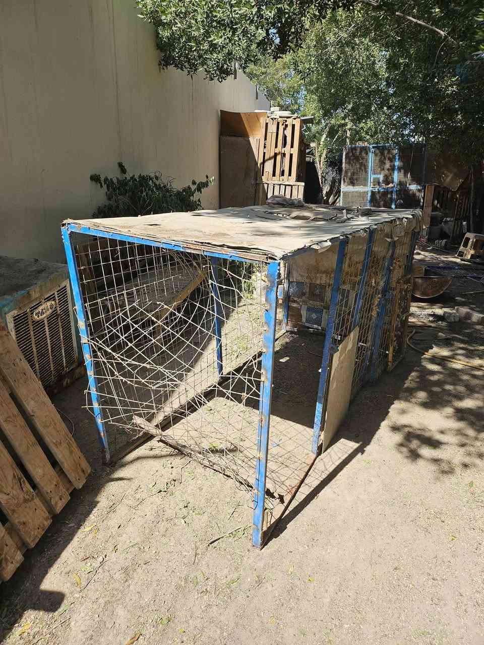 قفص حديد للبيع قيم واخذ نجف


**إذا كنت صاحب هذا الإعلان وتريد حذفه لأي سبب، رجاءا أرسل رسالة إلى الدعم الفني**