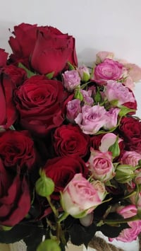 زهره دبي • باقات ورد • الحيره