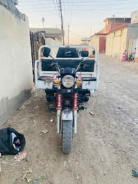 ستوته • تايگر • ٢٠٢٣
