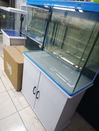 جديد • حجم ٨٠ • بابل