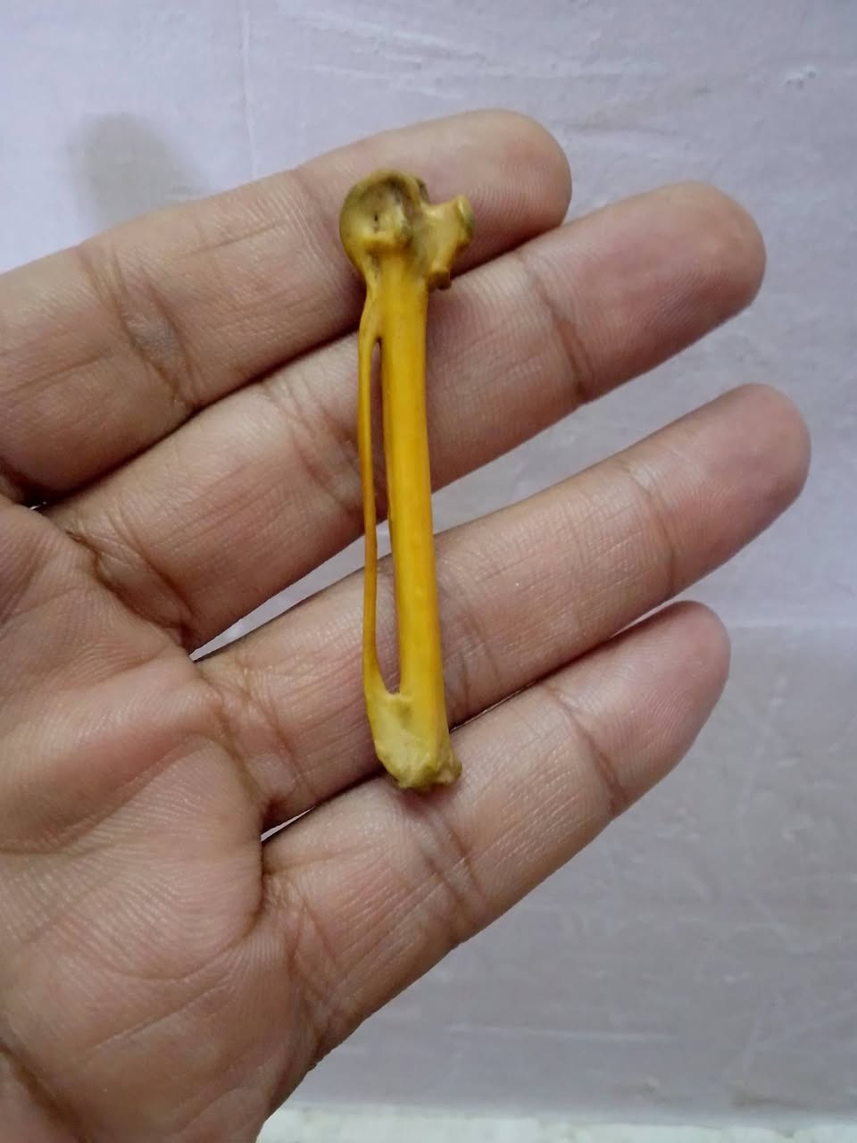 للبيع شلع مكاني بغداد العبيدي للتواصل على واتساب ***********
