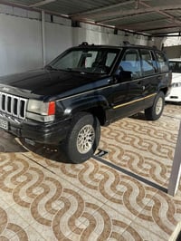 جيب • ١٩٩٤ • الرمادي