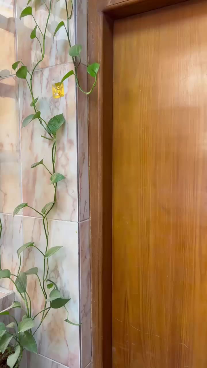 العرض الاقوى😍
عروض العيد 🤩
التوصيل مجاني لجميع المحافظات🚚😍
فستان بناتي يلبس عمر ٥-٦ سنة 🤩
خامة ماستر كوالتي درجة اولى👗
السعر ٢٠ الف والتوصيل مجاني خلال ايام رمضان😍🚚
متوفر بلونين جوزي وبيجي🟤⚪️

للحجز والاستفسار مراسلتنا على الصفحة📩
واتساب***********
