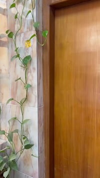 العرض الاقوى😍 عروض العيد 🤩 التوصيل مجاني لجميع المحافظات🚚😍 فستان بناتي...