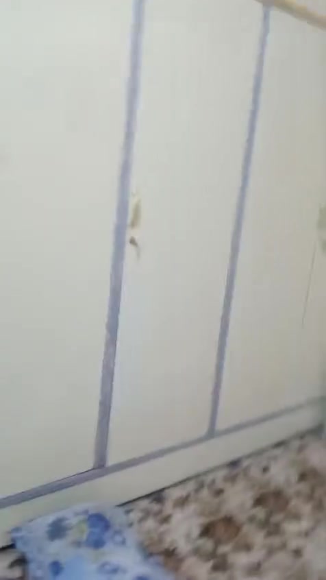 كنتور وزاويه للبيع المكان الغراف السعر ٢٢٥


**إذا كنت صاحب هذا الإعلان وتريد حذفه لأي سبب، رجاءا أرسل رسالة إلى الدعم الفني**