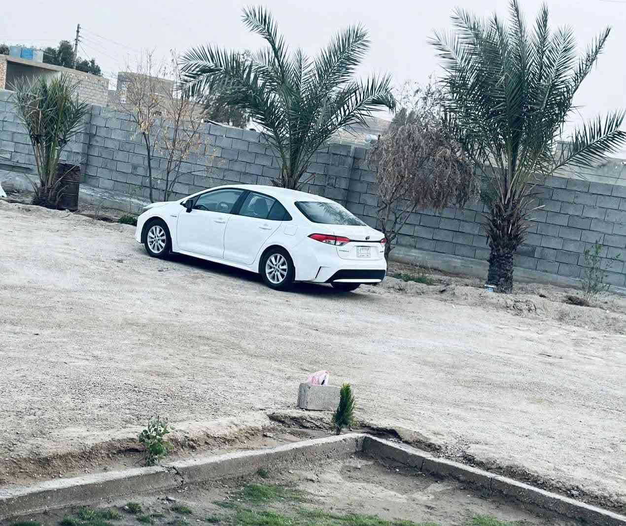 السلام عليكم
كورلا ٢٠٢١ هايبرد 
وارد أمريكي 
الضرر جاملغ وبنيد 
فول بصمه شاشه حساسات 
رادار ٤  
تحويل باسم المشتري مباشر 
السعر ١٤٣ بيها مجال سياره لان نضيفه جداً
المكان رمادي 
ملاحظة ترهم بمقدمه لاتقل عن ٩٠ ورقه وسعر يختلف عن النقد
للاستفسار خاص 
او على رقم ***********
