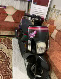 CUXI • أسود وردي • اقتصادية