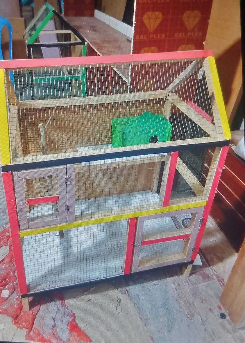 قفص للبيع جديد


**إذا كنت صاحب هذا الإعلان وتريد حذفه لأي سبب، رجاءا أرسل رسالة إلى الدعم الفني**