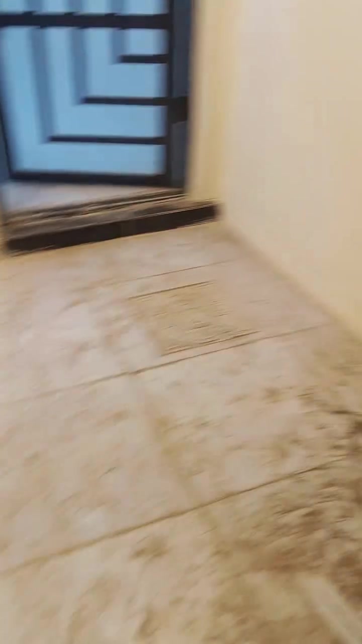 بيت للبيع الدوره حي دجله زراعي قرب ماركت الساعه مساحت 100م3غرف نوم 2حمامات مطبخ وصاله زيرو كامل من كل النواحي ***********
